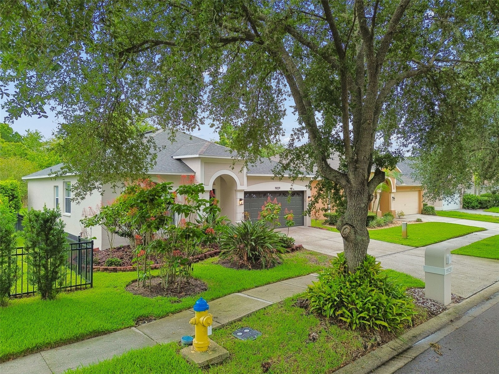 19029 Chemille Drive Lutz FL 33558 TB8529610 image74