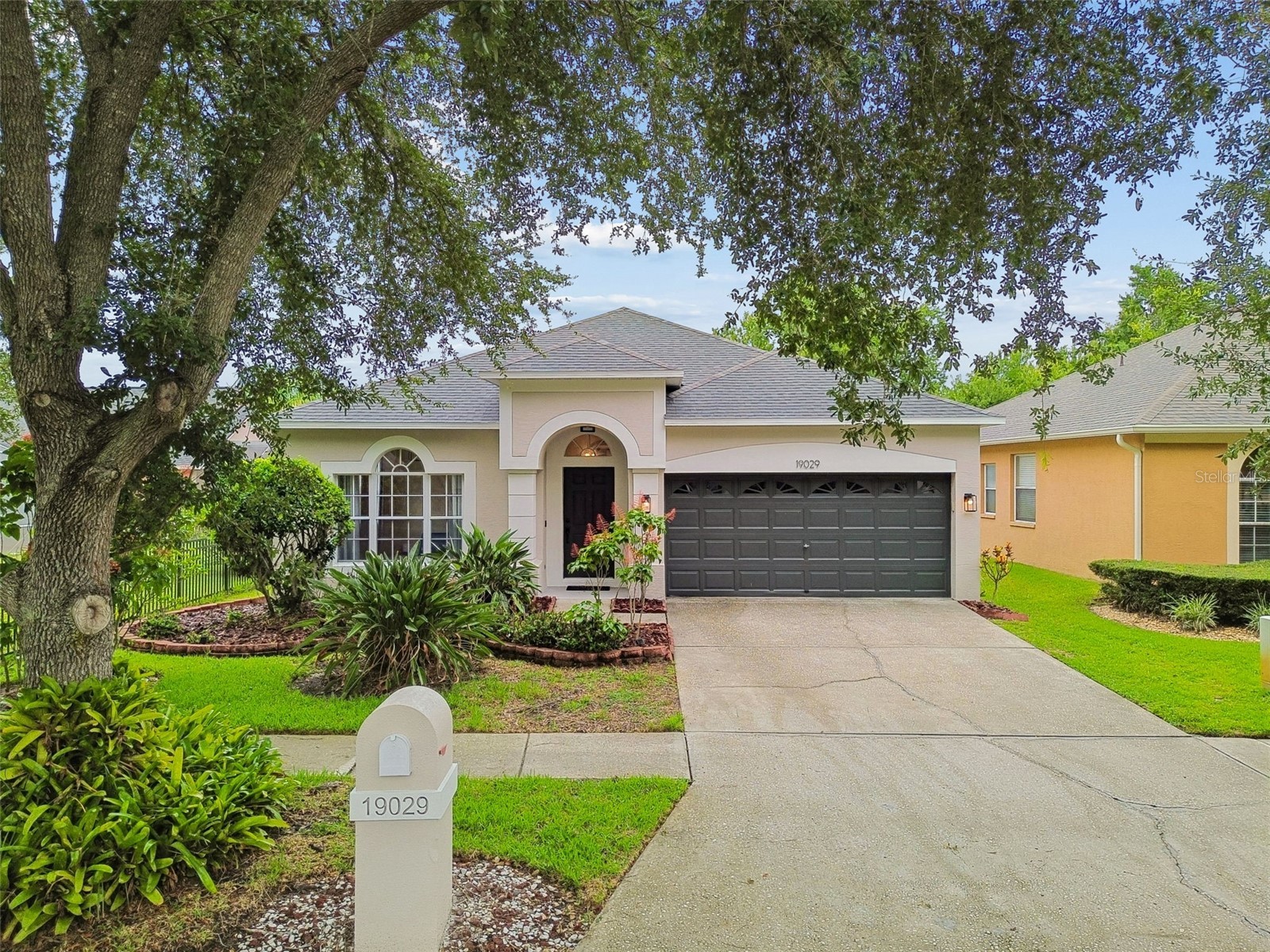 19029 Chemille Drive Lutz FL 33558 TB8529610 image75