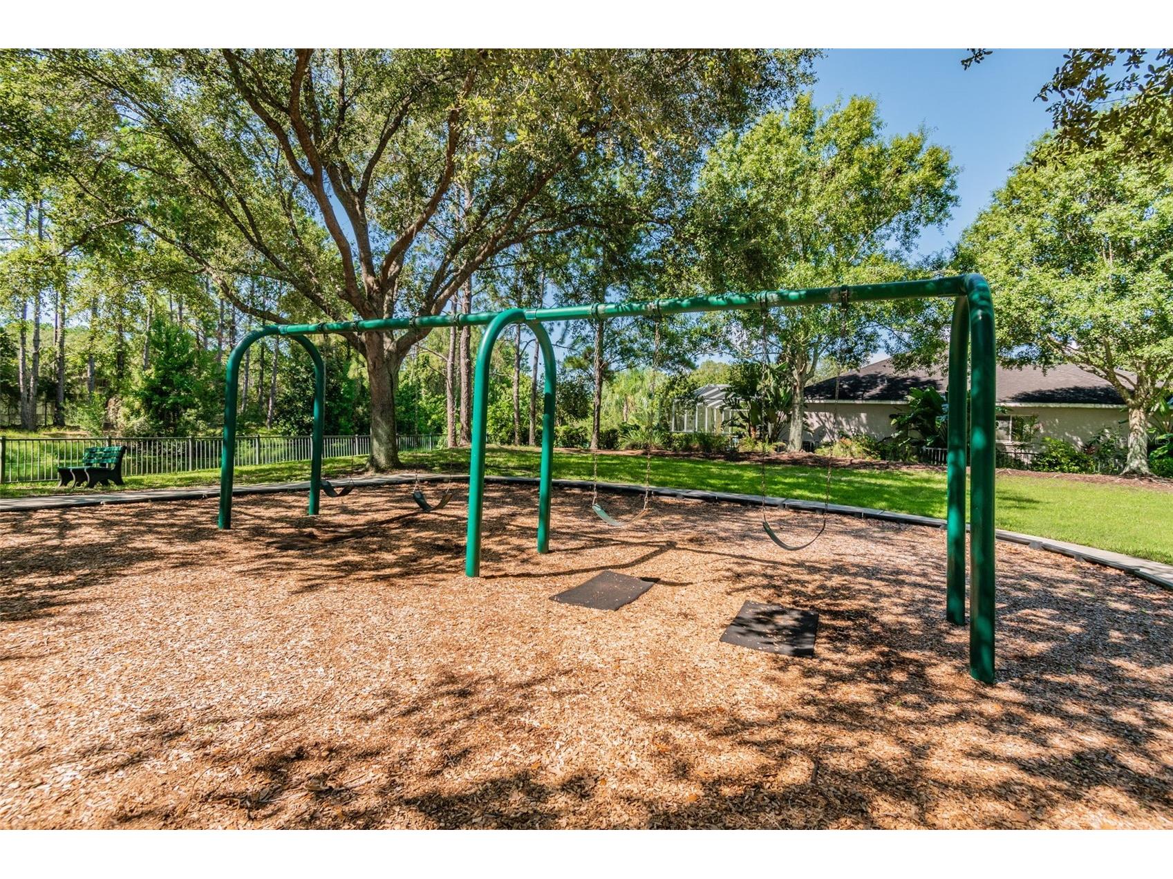 19029 Chemille Drive Lutz FL 33558 TB8529610 image76