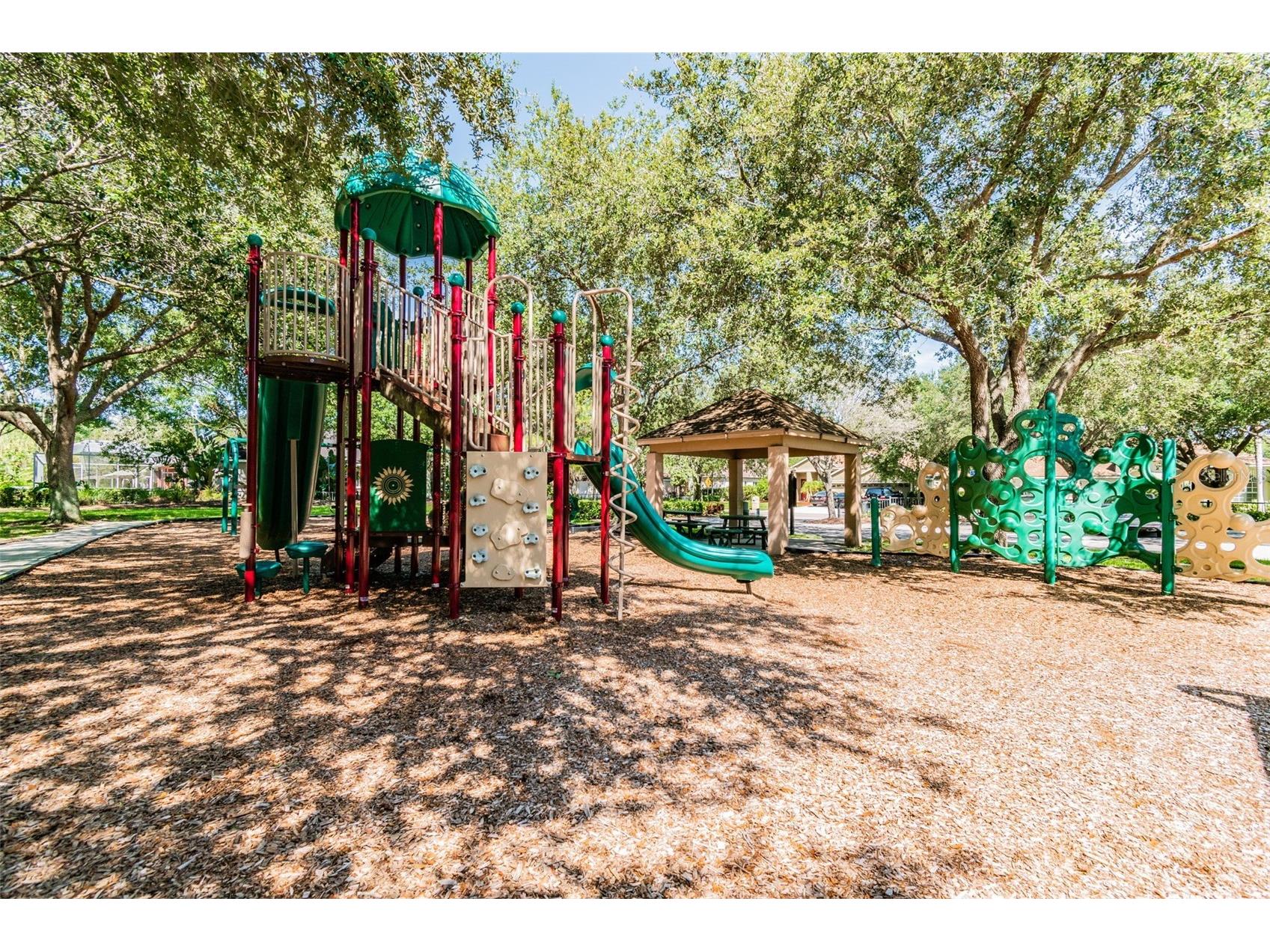 19029 Chemille Drive Lutz FL 33558 TB8529610 image79