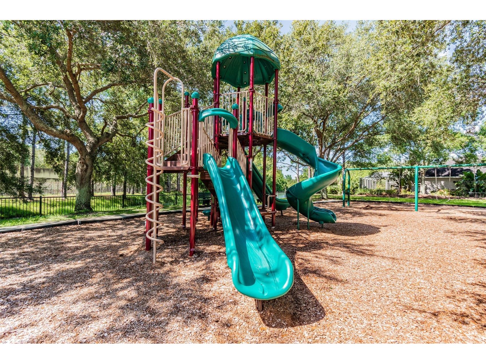 19029 Chemille Drive Lutz FL 33558 TB8529610 image80