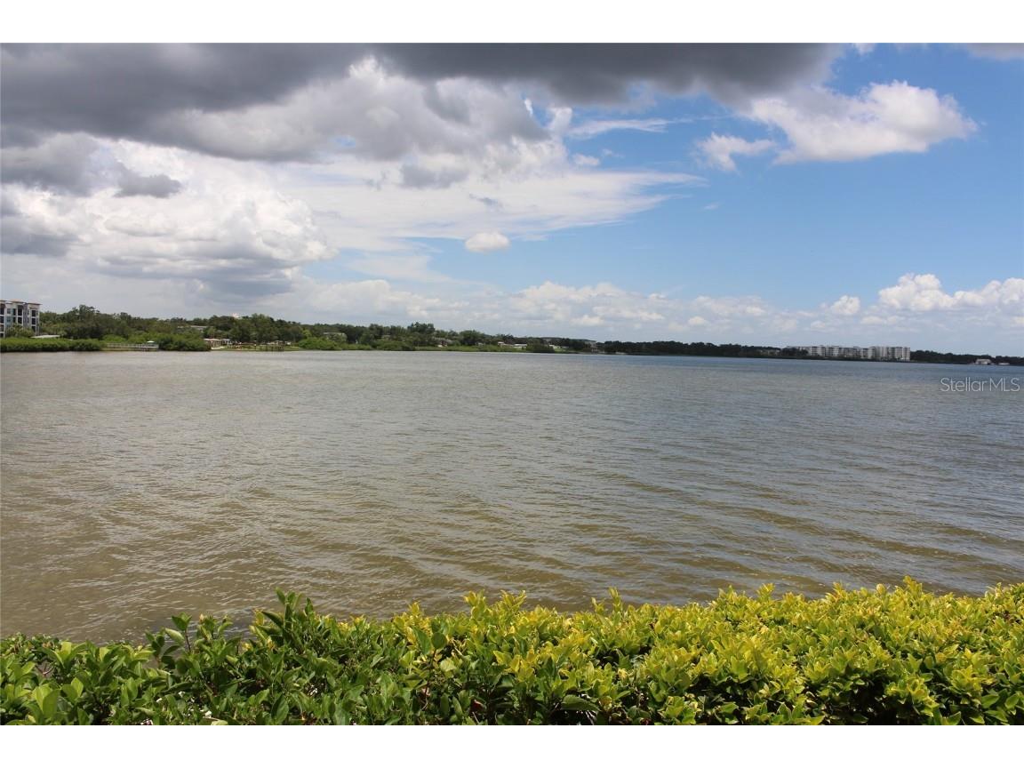 19029 Us Highway 19 N #16C Clearwater FL 33764 TB8409184 image4