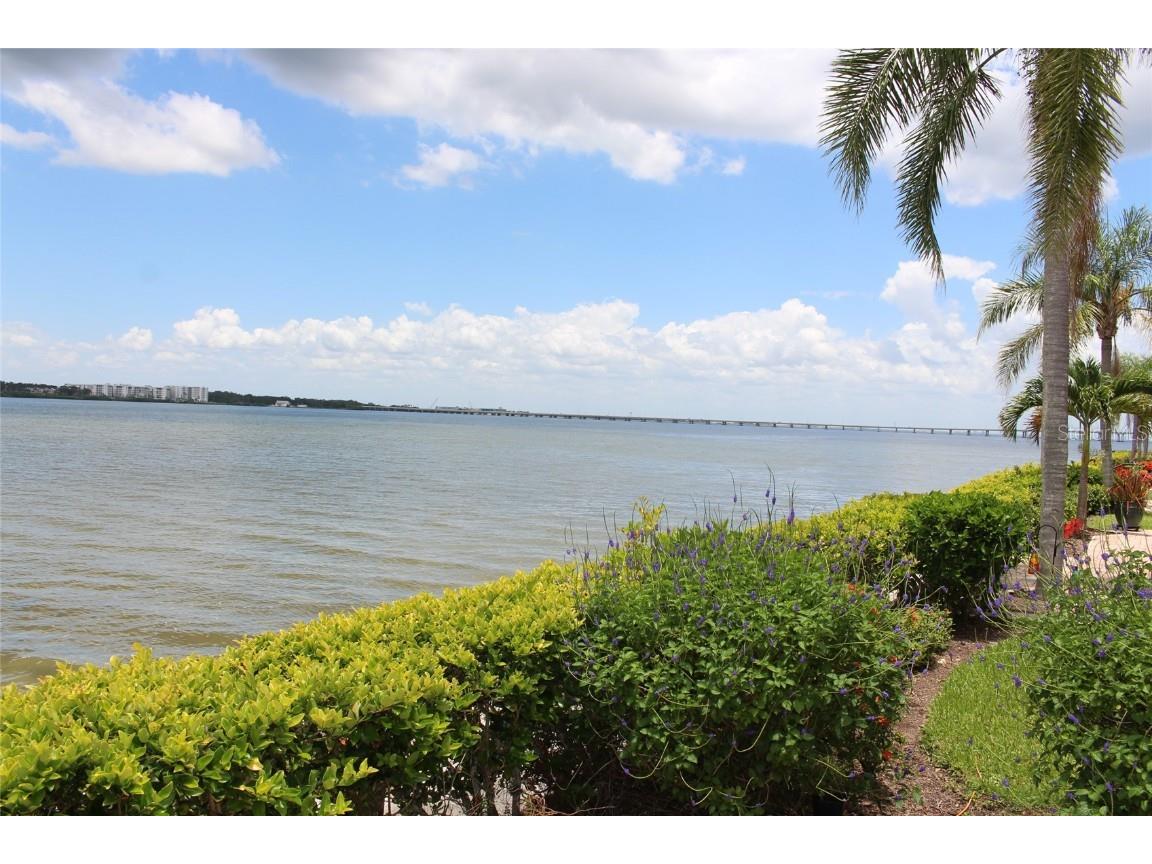 19029 Us Highway 19 N #16C Clearwater FL 33764 TB8409184 image5