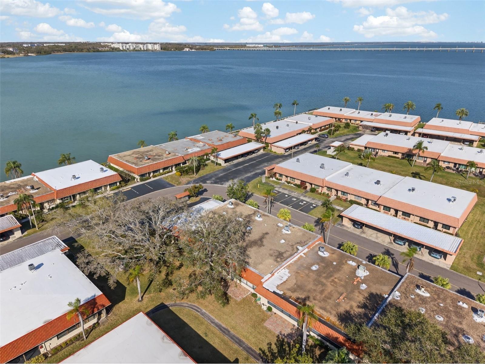 19029 Us Highway 19 N #18F Clearwater FL 33764 TB8479823 image60