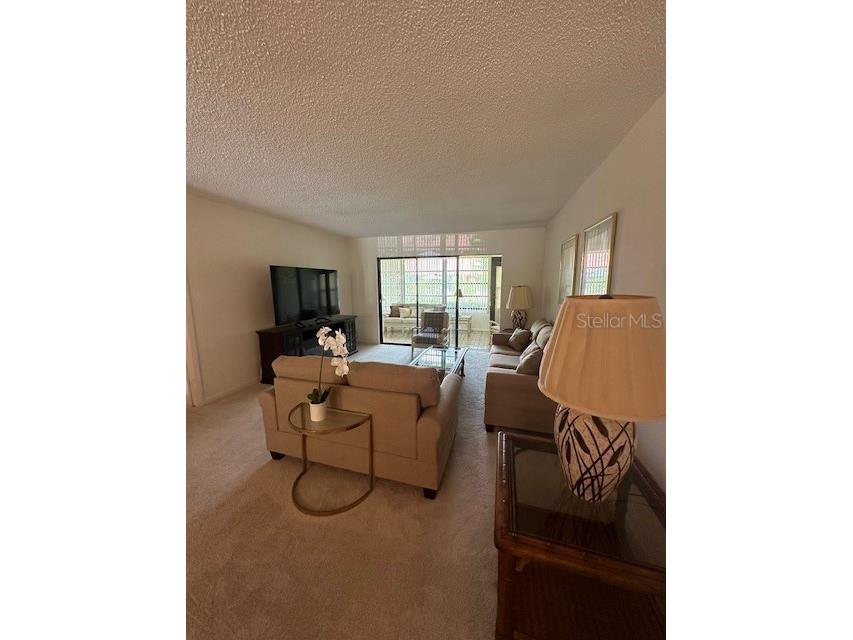 19029 Us Highway 19 N #20F Clearwater FL 33764 TB8467707 image19