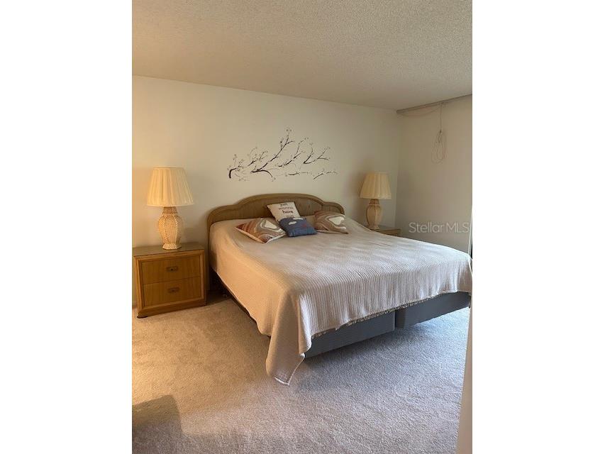 19029 Us Highway 19 N #20F Clearwater FL 33764 TB8467707 image22