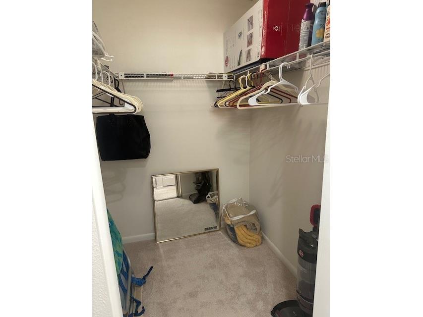 19029 Us Highway 19 N #20F Clearwater FL 33764 TB8467707 image28