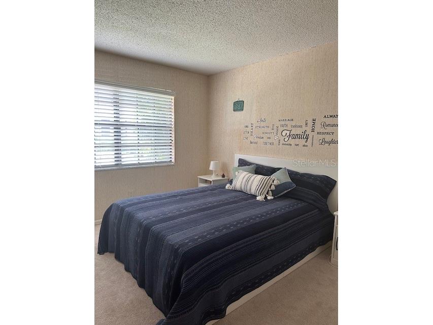 19029 Us Highway 19 N #20F Clearwater FL 33764 TB8467707 image34