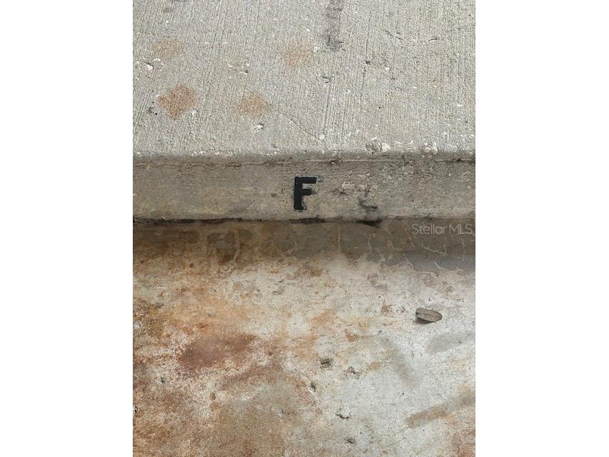 19029 Us Highway 19 N #20F Clearwater FL 33764 TB8467707 image42