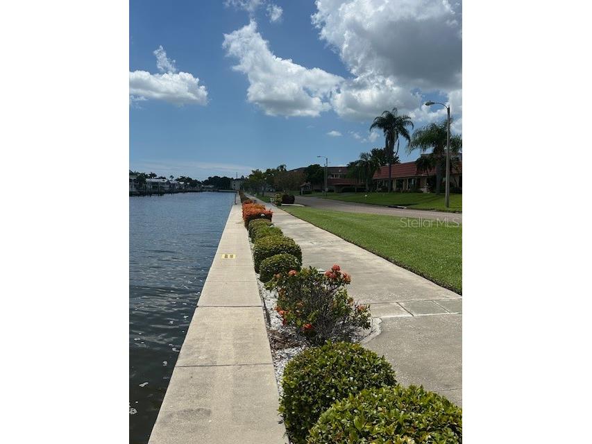 19029 Us Highway 19 N #20F Clearwater FL 33764 TB8467707 image7