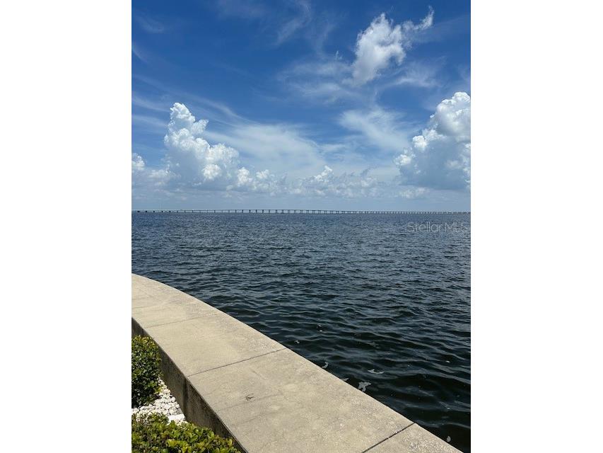 19029 Us Highway 19 N #20F Clearwater FL 33764 TB8467707 image8