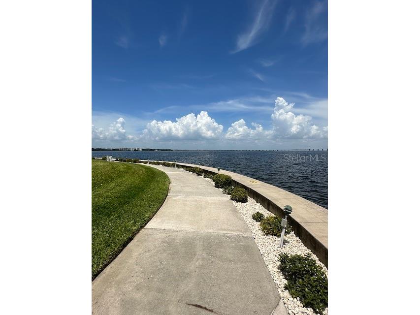 19029 Us Highway 19 N #20F Clearwater FL 33764 TB8467707 image9