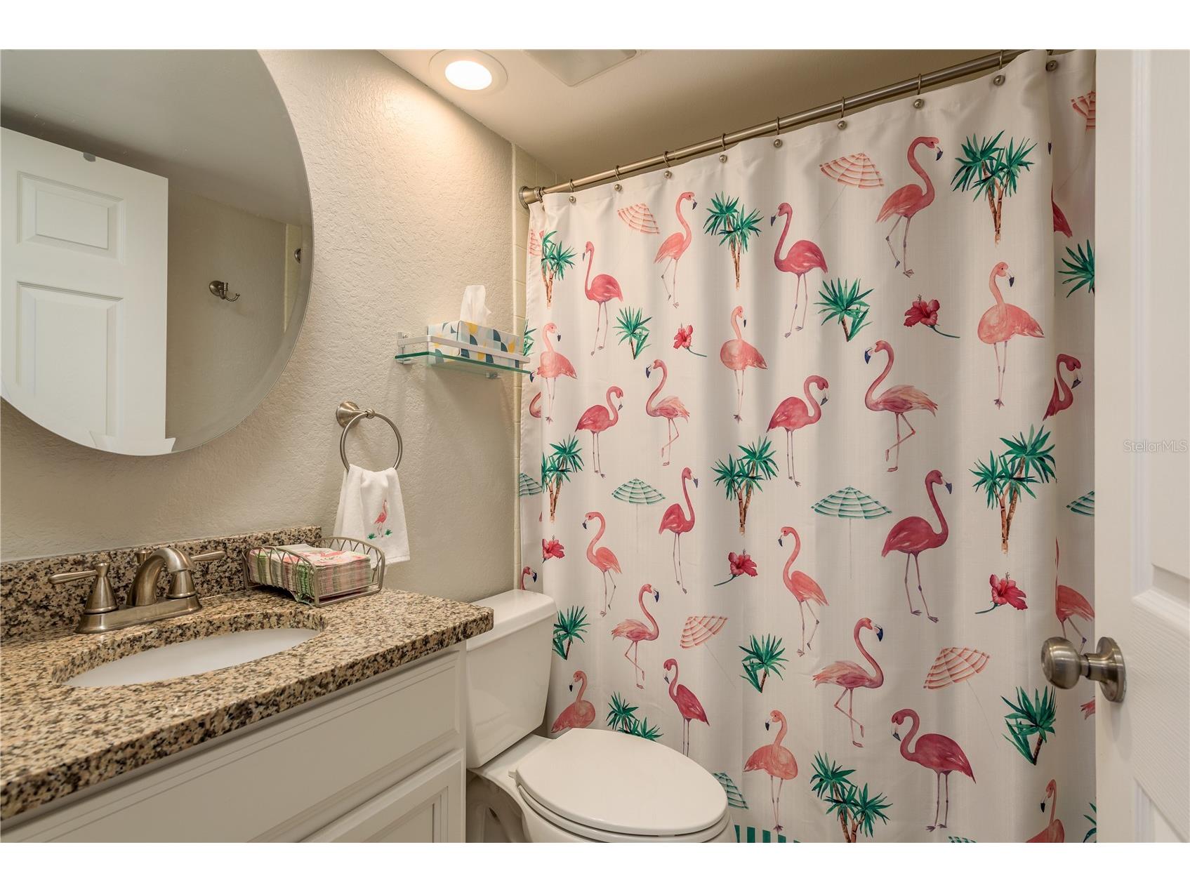 19029 Us Highway 19 N #26-205 Clearwater FL 33764 TB8467701 image26