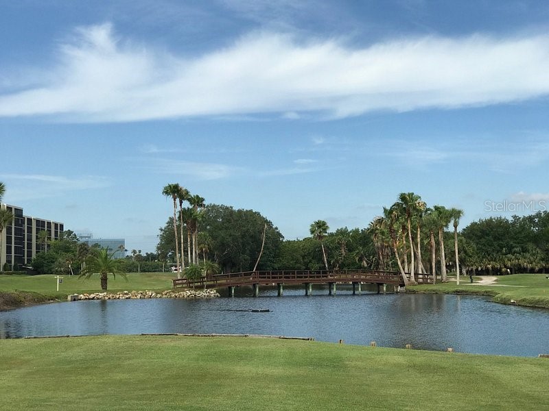 19029 Us Highway 19 N #27A Clearwater FL 33764 - OLD TAMPA BAY TB8448631 image42