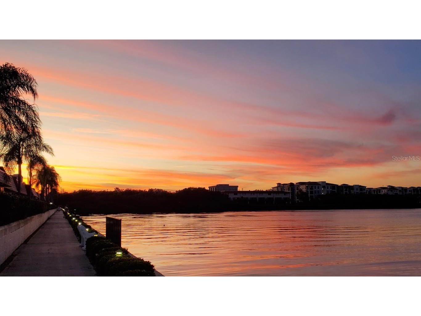 19029 Us Highway 19 N #28B Clearwater FL 33764 - TAMPA BAY TB8458167 image1