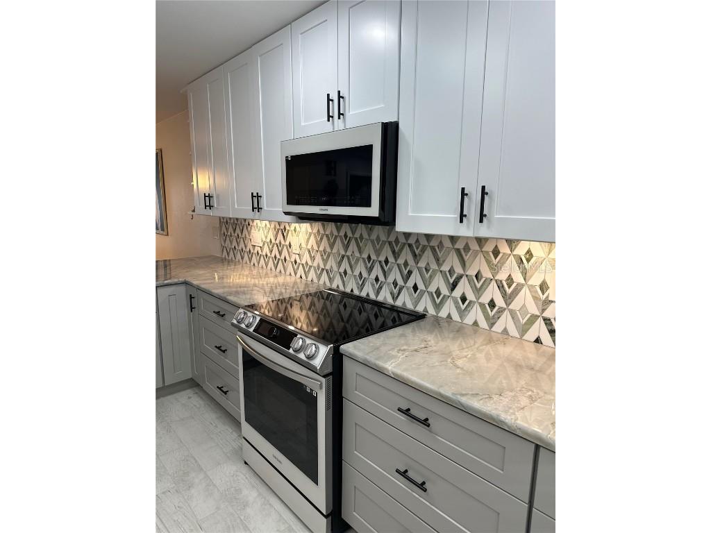 19029 Us Highway 19 N #28B Clearwater FL 33764 - TAMPA BAY TB8458167 image24