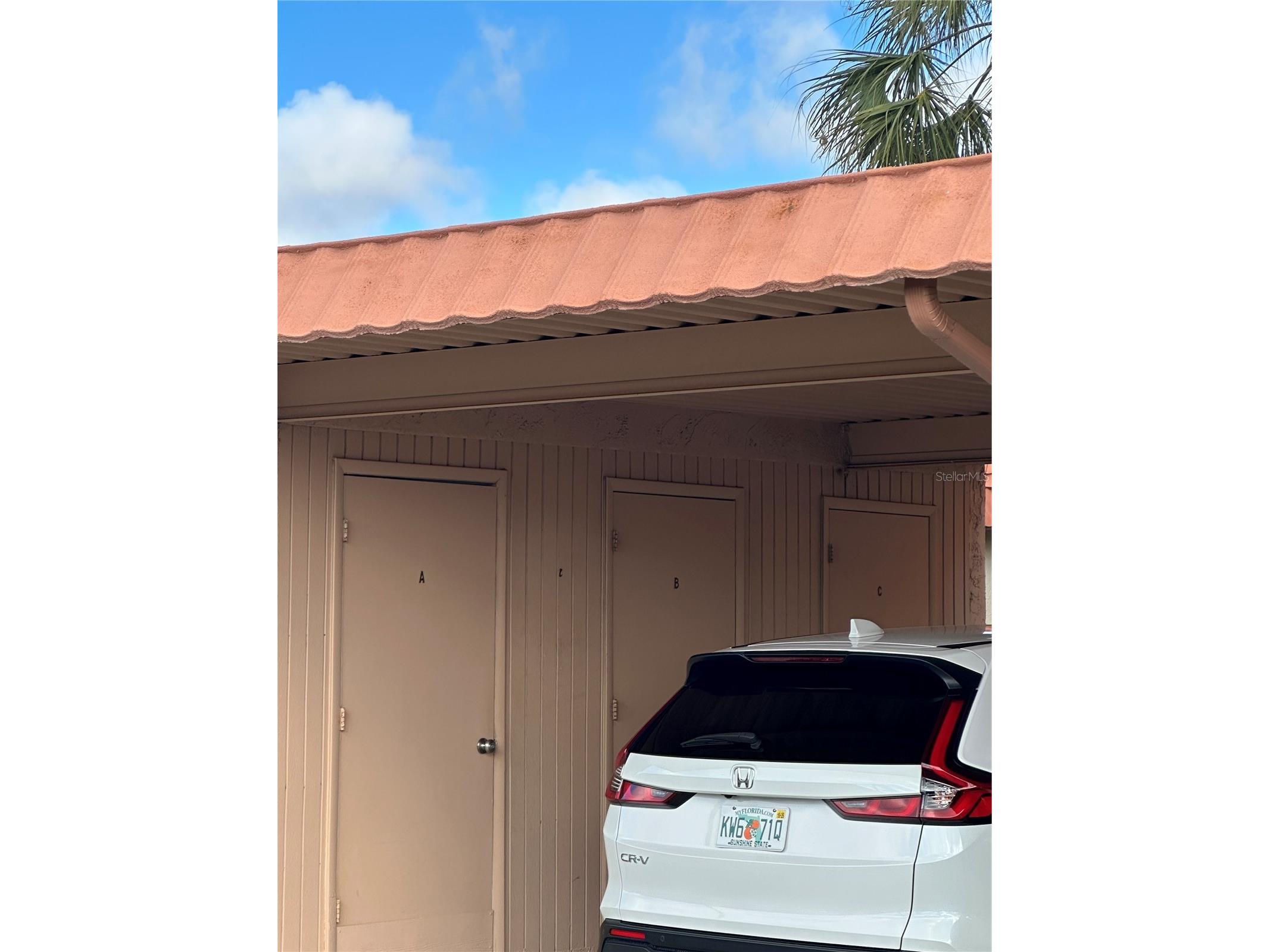 19029 Us Highway 19 N #28B Clearwater FL 33764 - TAMPA BAY TB8458167 image38