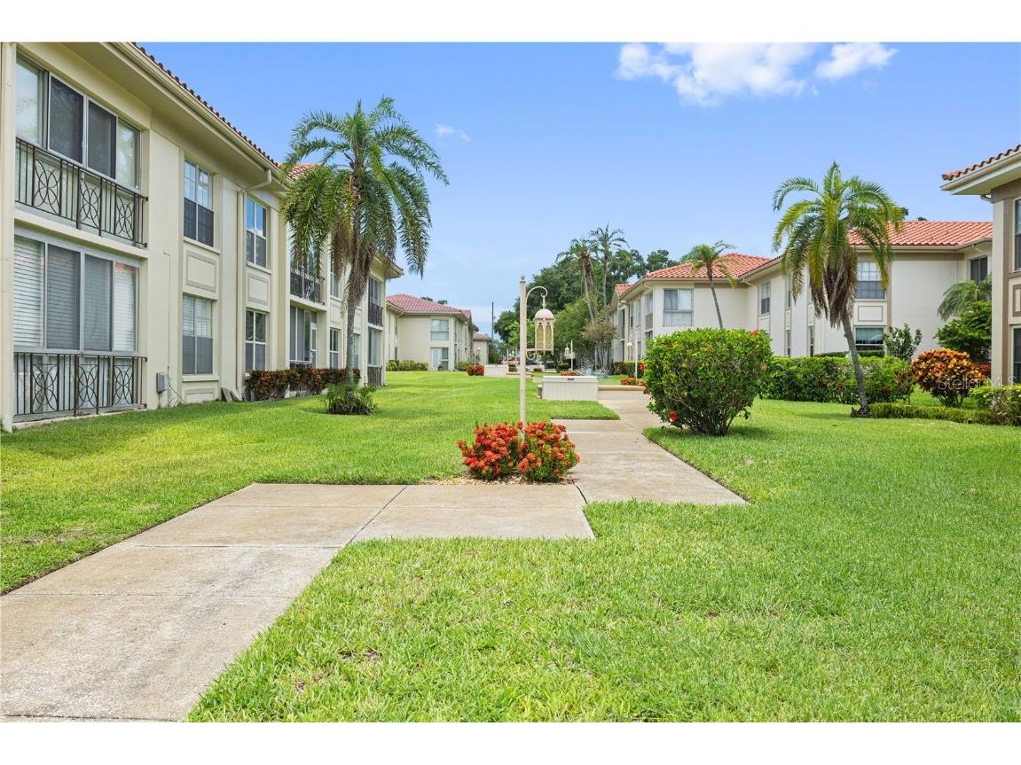 19029 Us Highway 19 N #3-1 Clearwater FL 33764 TB8394453 image29