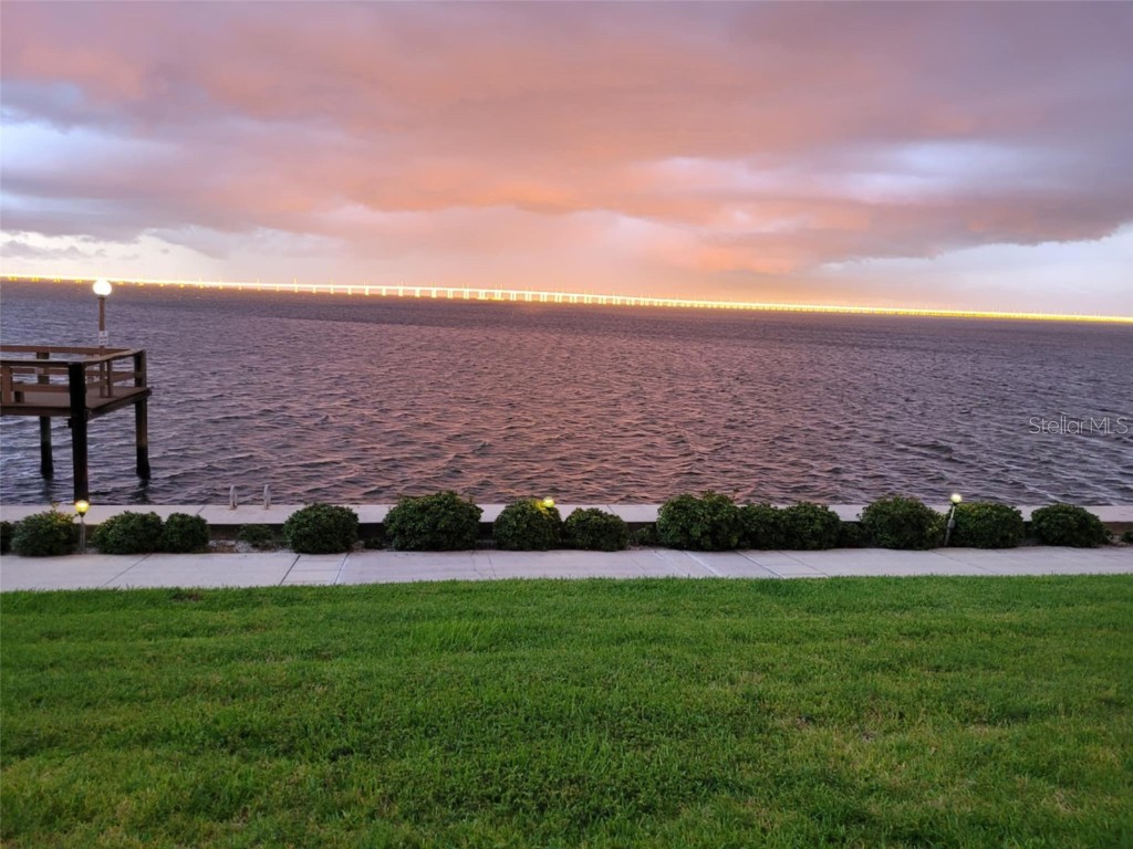 19029 Us Highway 19 N #31F Clearwater FL 33764 - OLD TAMPA BAY TB8384672 image36