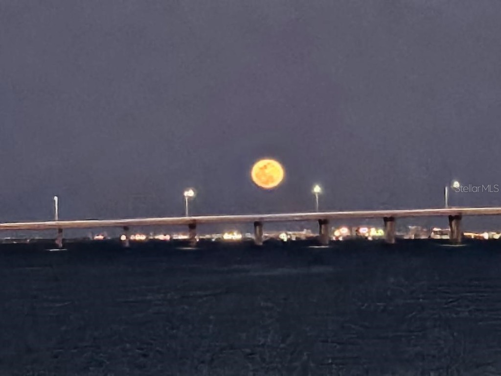 19029 Us Highway 19 N #31F Clearwater FL 33764 - OLD TAMPA BAY TB8384672 image38