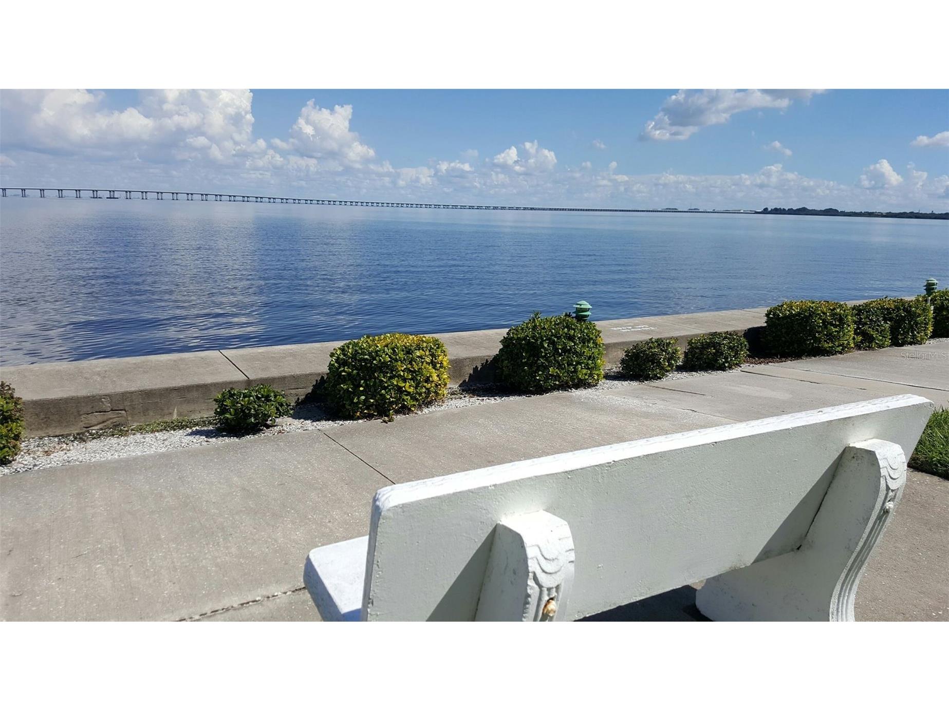 19029 Us Highway 19 N #32B Clearwater FL 33764 - TAMPA BAY TB8477702 image1