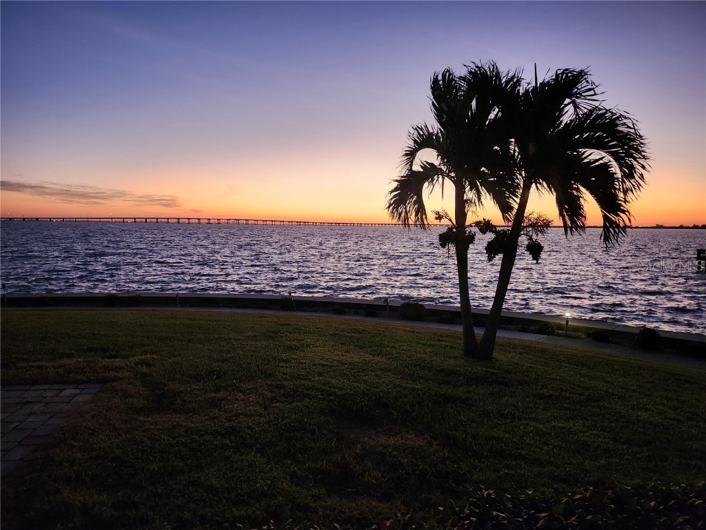 19029 Us Highway 19 N #32F Clearwater FL 33764 TB8325931 image1
