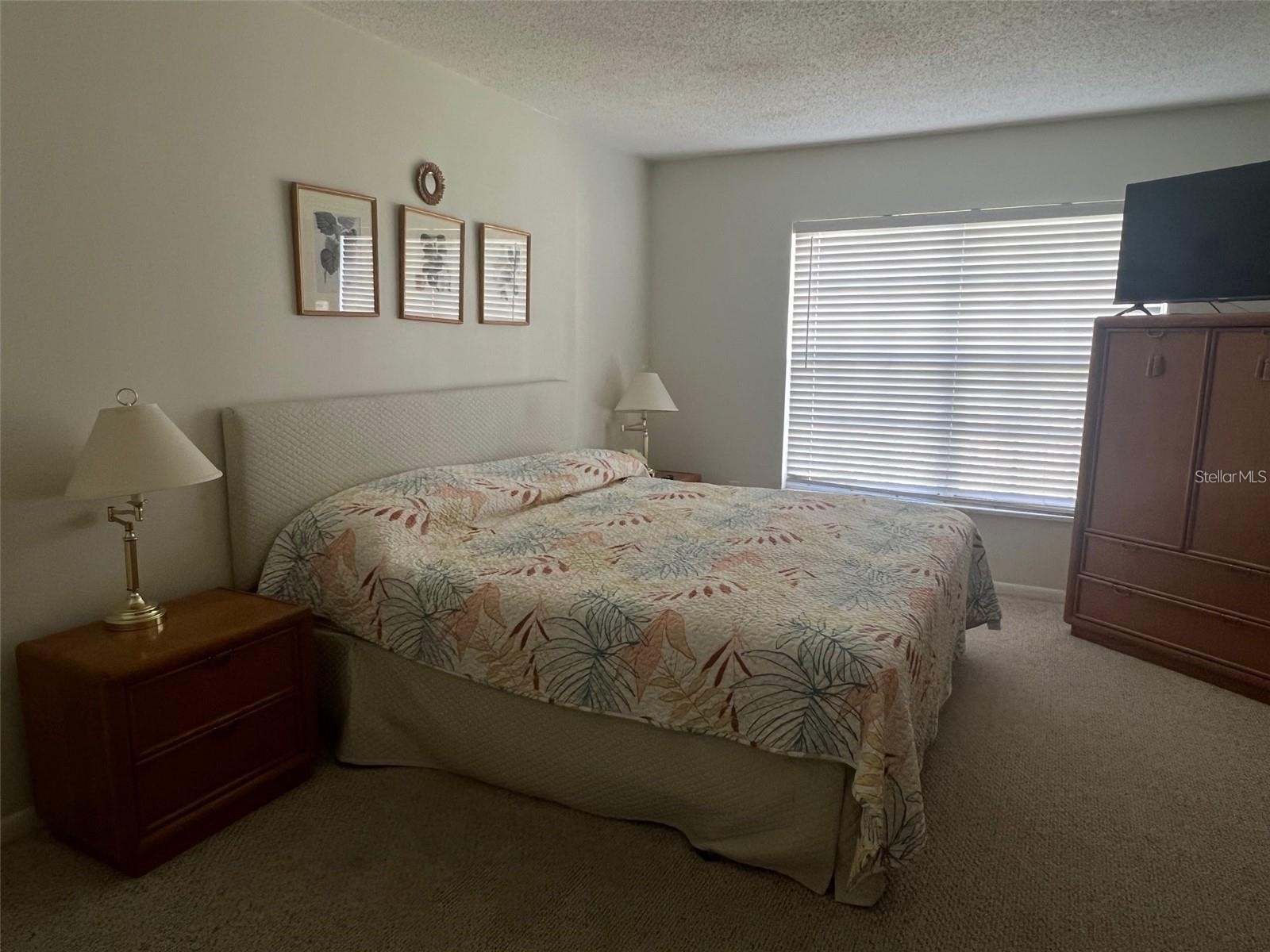 19029 Us Highway 19 N #6-14 Clearwater FL 33764 TB8488370 image13