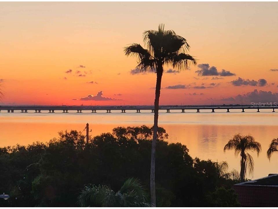 19029 Us Highway 19 N #9-404 Clearwater FL 33764 - TAMPA BAY U8232526 image26