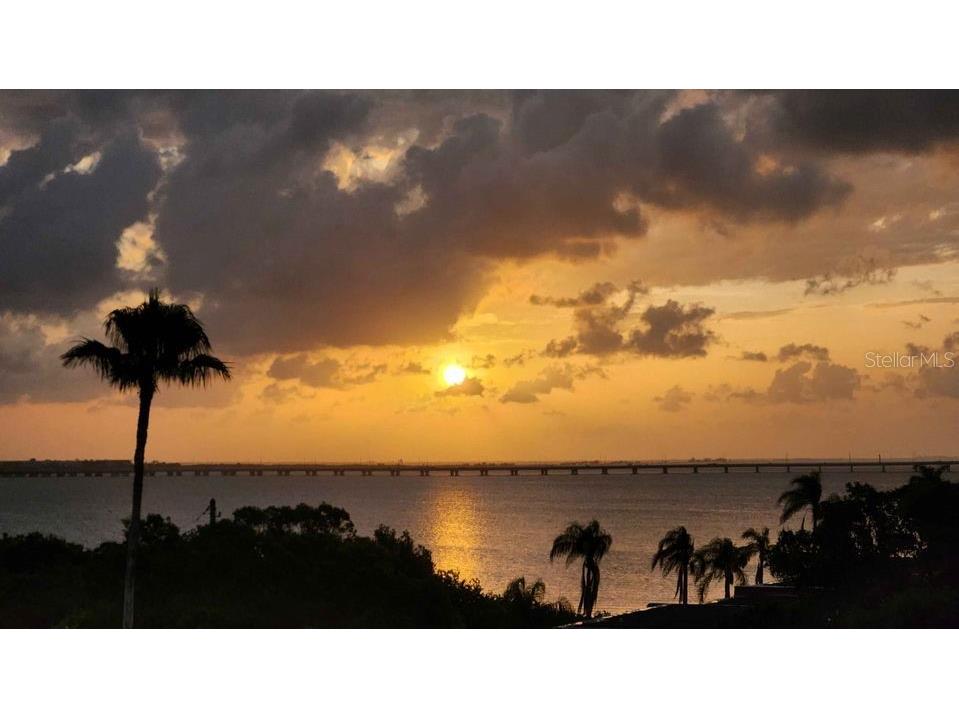 19029 Us Highway 19 N #9-404 Clearwater FL 33764 - TAMPA BAY U8232526 image45