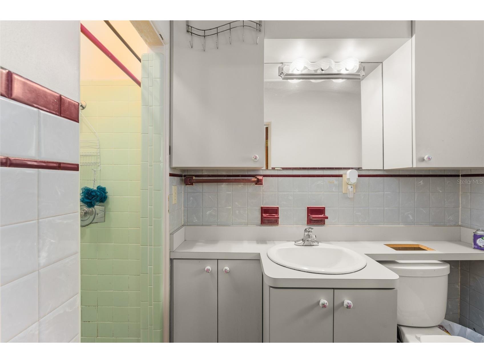 1903 Brown Street Kissimmee FL 34741 O6377061 image21