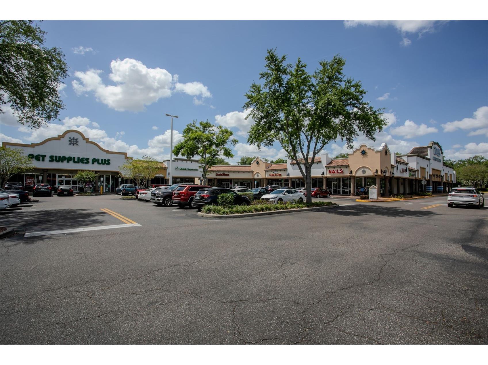 1903 E Fl 60 #D Valrico FL 33594 TB8497752 image33