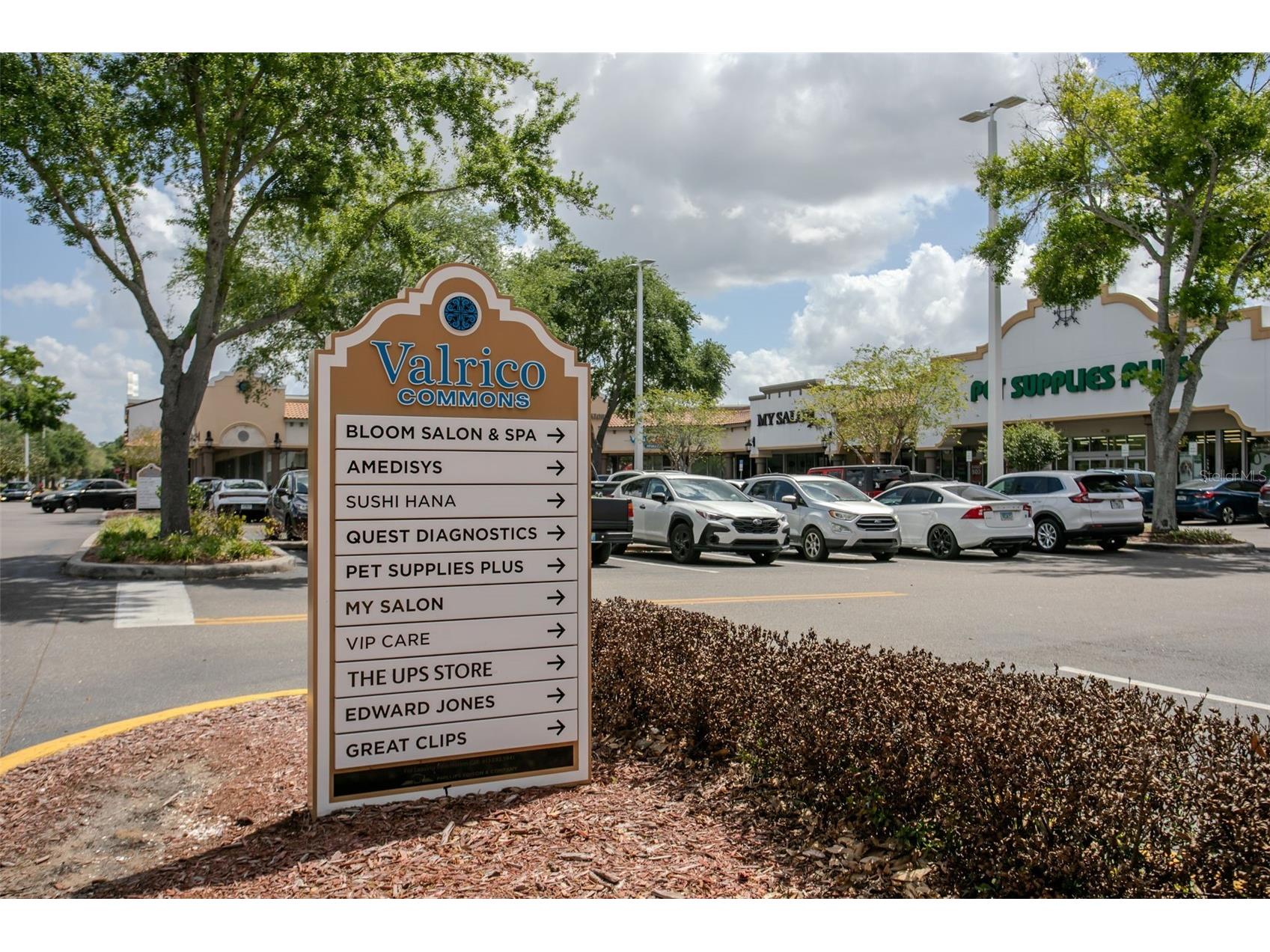 1903 E Fl 60 #D Valrico FL 33594 TB8497752 image34
