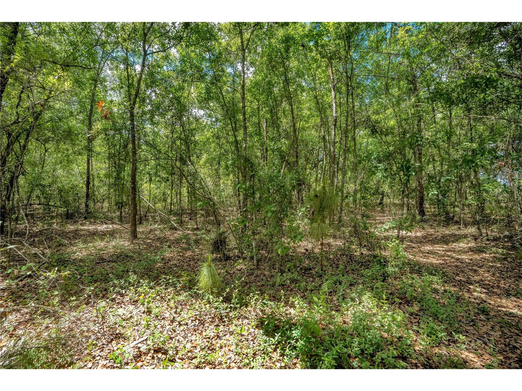1903 Spruce Creek Circle N Port Orange FL 32128 O6396236 image2
