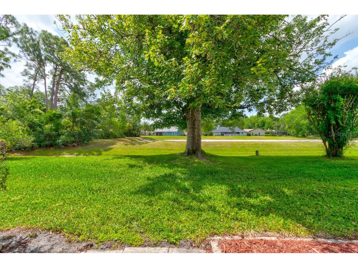 1903 Sprucewood Way Port Orange FL 32128 NS1084840 image28