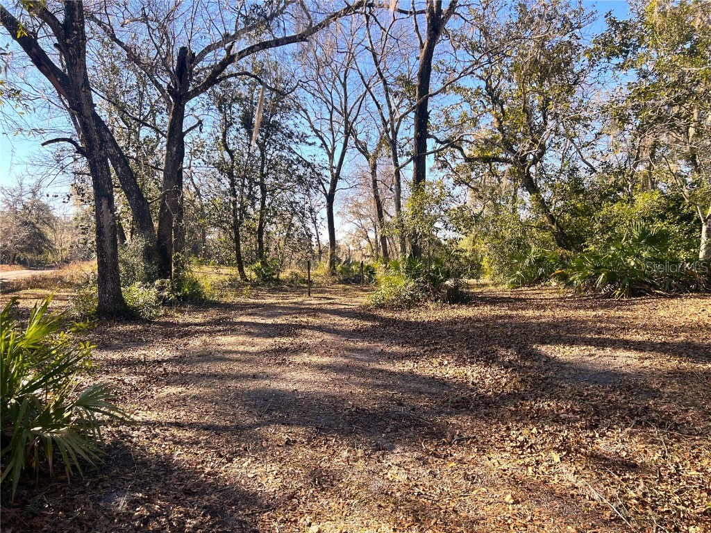 1903 W Springlake Dr Drive Dunnellon FL 34434 - LAKE WILLIAMS OM693735 image1
