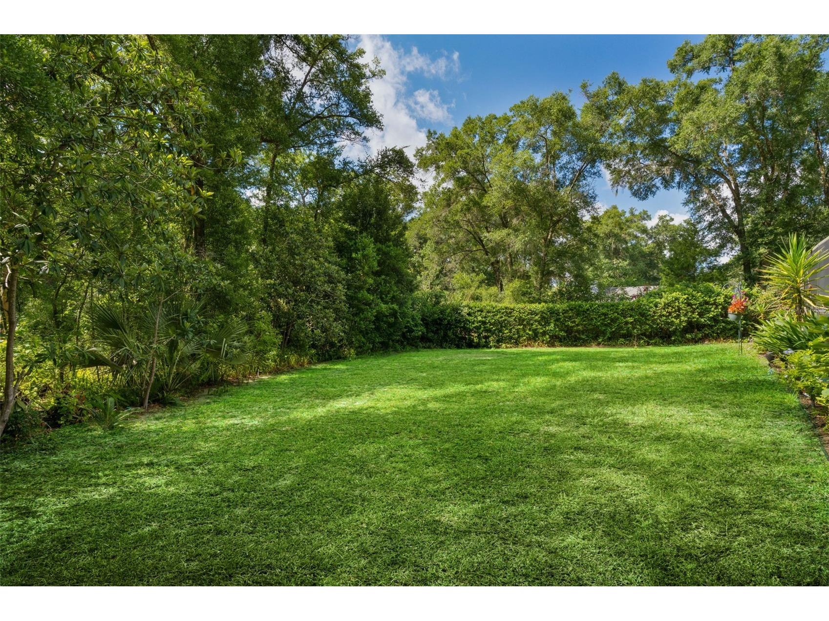 19030 SW 91st Lane Dunnellon FL 34432 - RAINBOW RIVER OM726188 image41