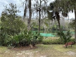 19030 SW 91st Lane Dunnellon FL 34432 - RAINBOW RIVER OM726188 image58