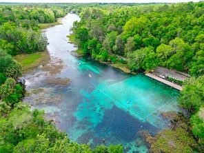 19030 SW 91st Lane Dunnellon FL 34432 - RAINBOW RIVER OM726188 image59