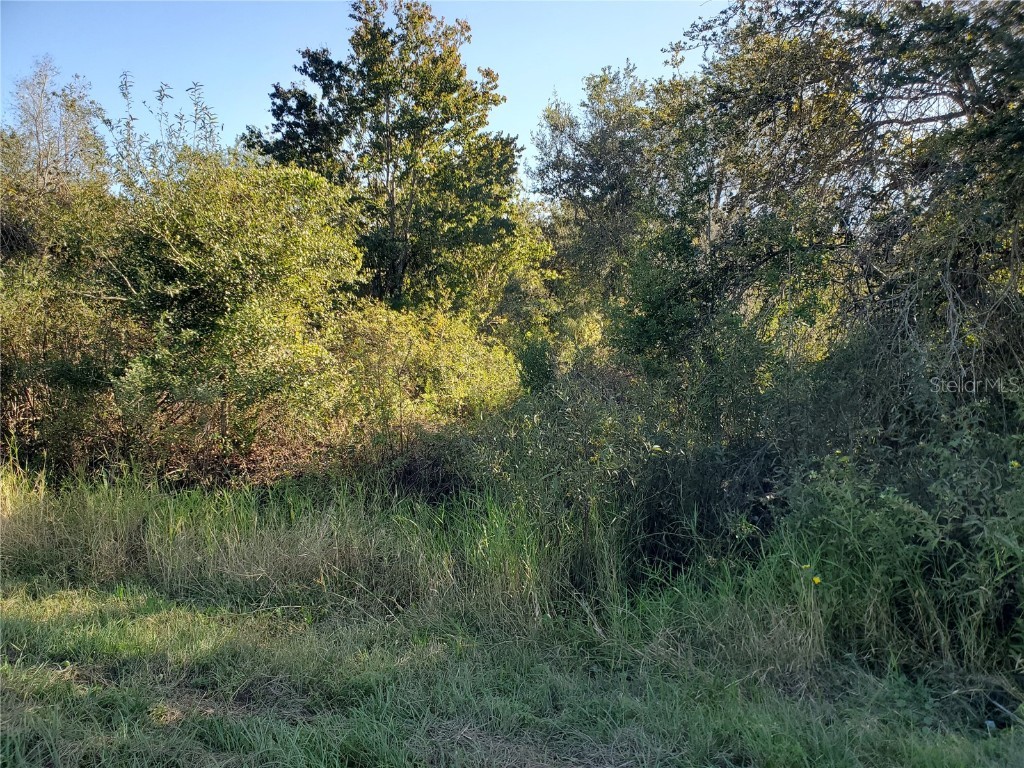 19032 NW 290th Street Okeechobee FL 34972 OK220770 image1