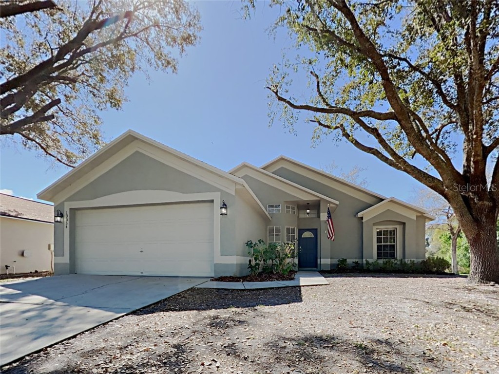 19034 Weatherstone Drive Tampa FL 33647 T3445078 image1