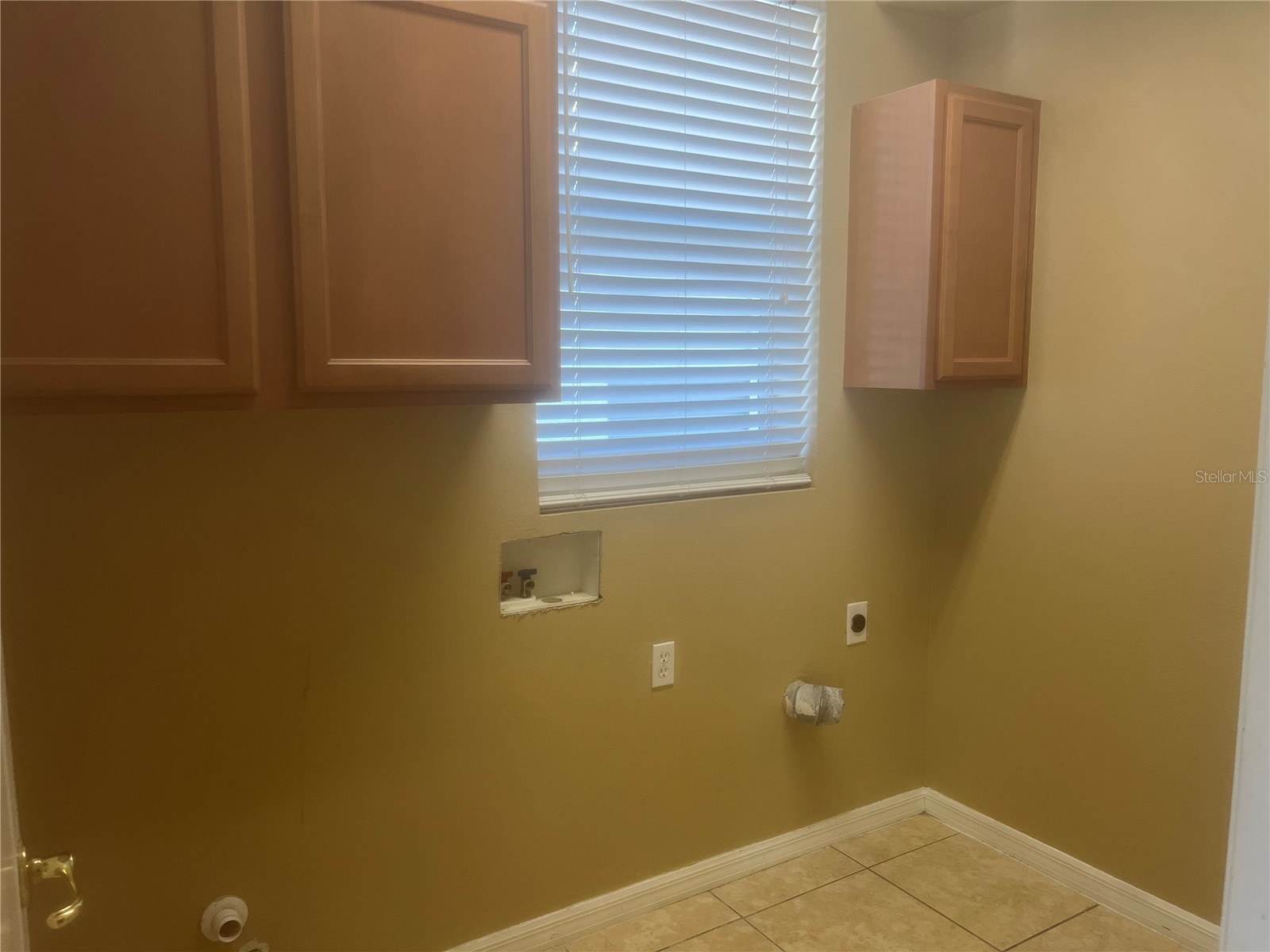 19036 Fishermans Bend Drive Lutz FL 33558 TB8501265 image14