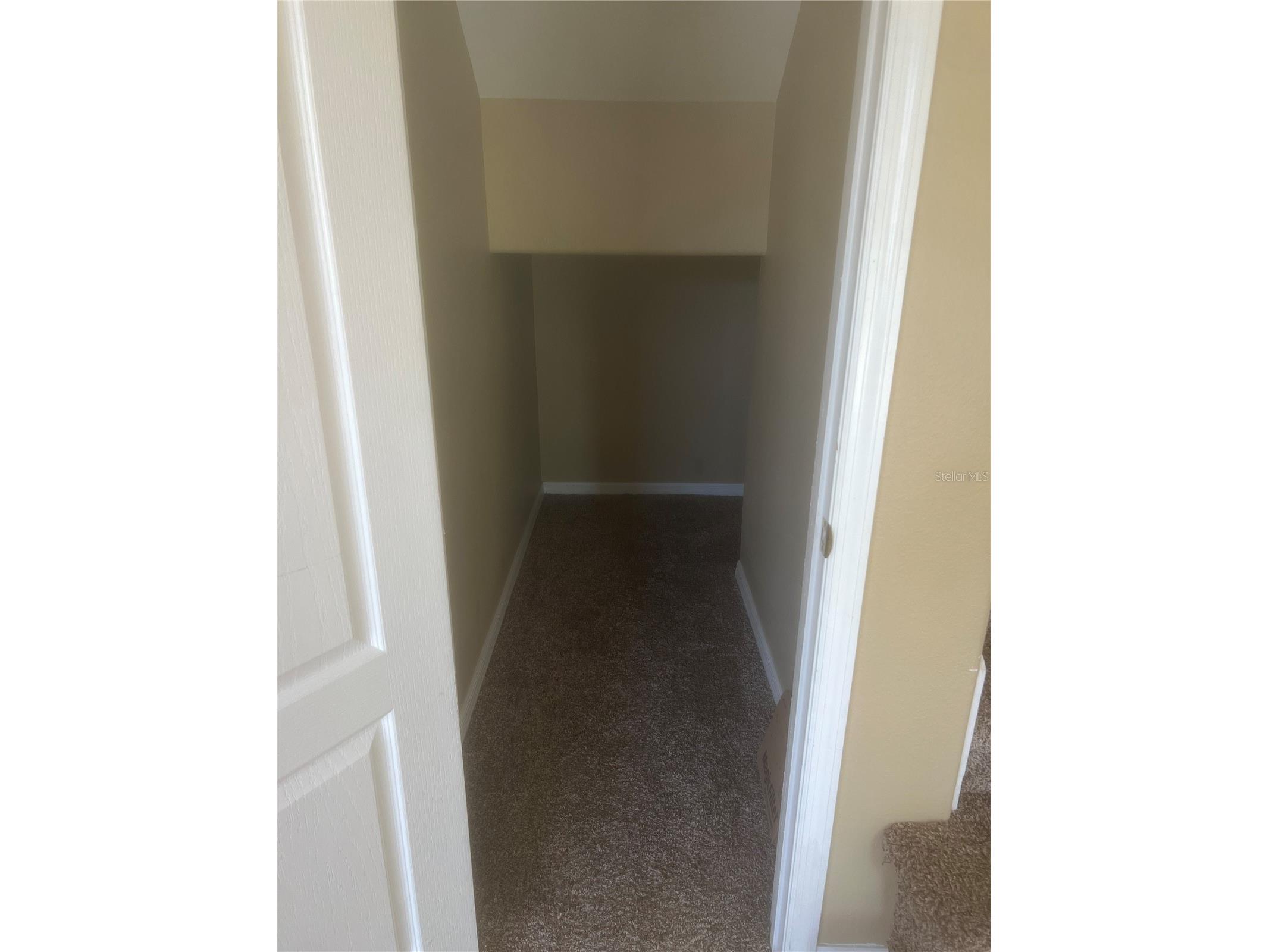 19036 Fishermans Bend Drive Lutz FL 33558 TB8501265 image19