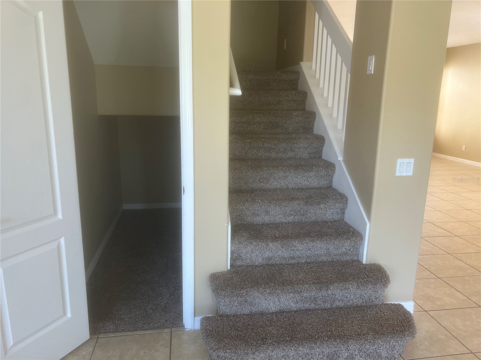 19036 Fishermans Bend Drive Lutz FL 33558 TB8501265 image20