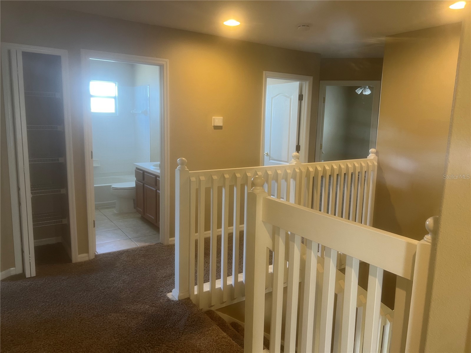 19036 Fishermans Bend Drive Lutz FL 33558 TB8501265 image21