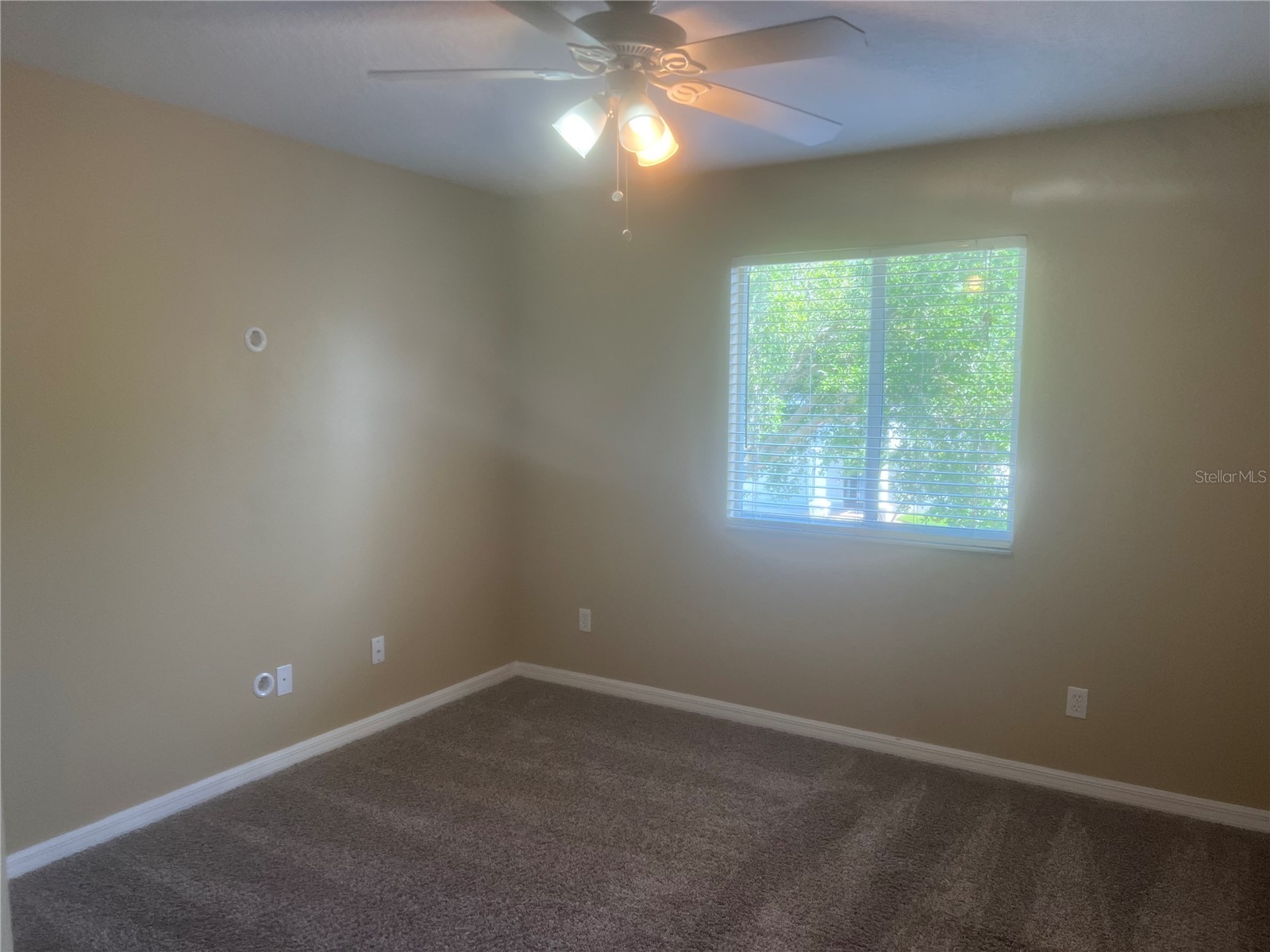 19036 Fishermans Bend Drive Lutz FL 33558 TB8501265 image25