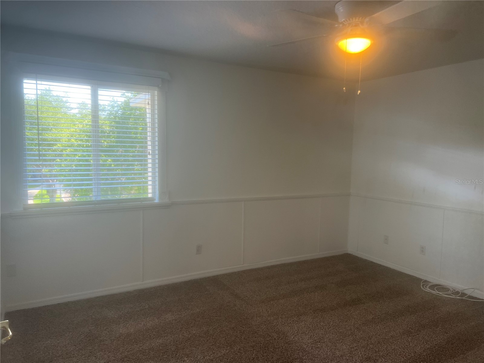 19036 Fishermans Bend Drive Lutz FL 33558 TB8501265 image27