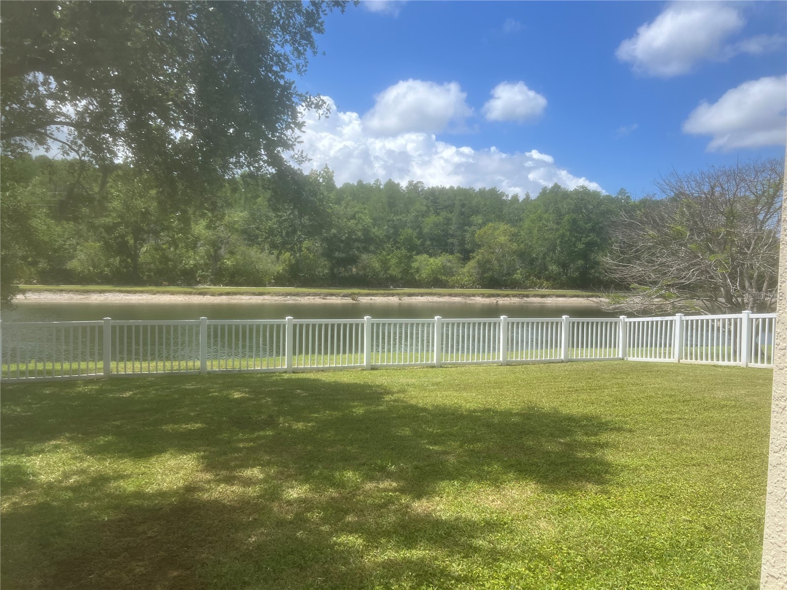 19036 Fishermans Bend Drive Lutz FL 33558 TB8501265 image6