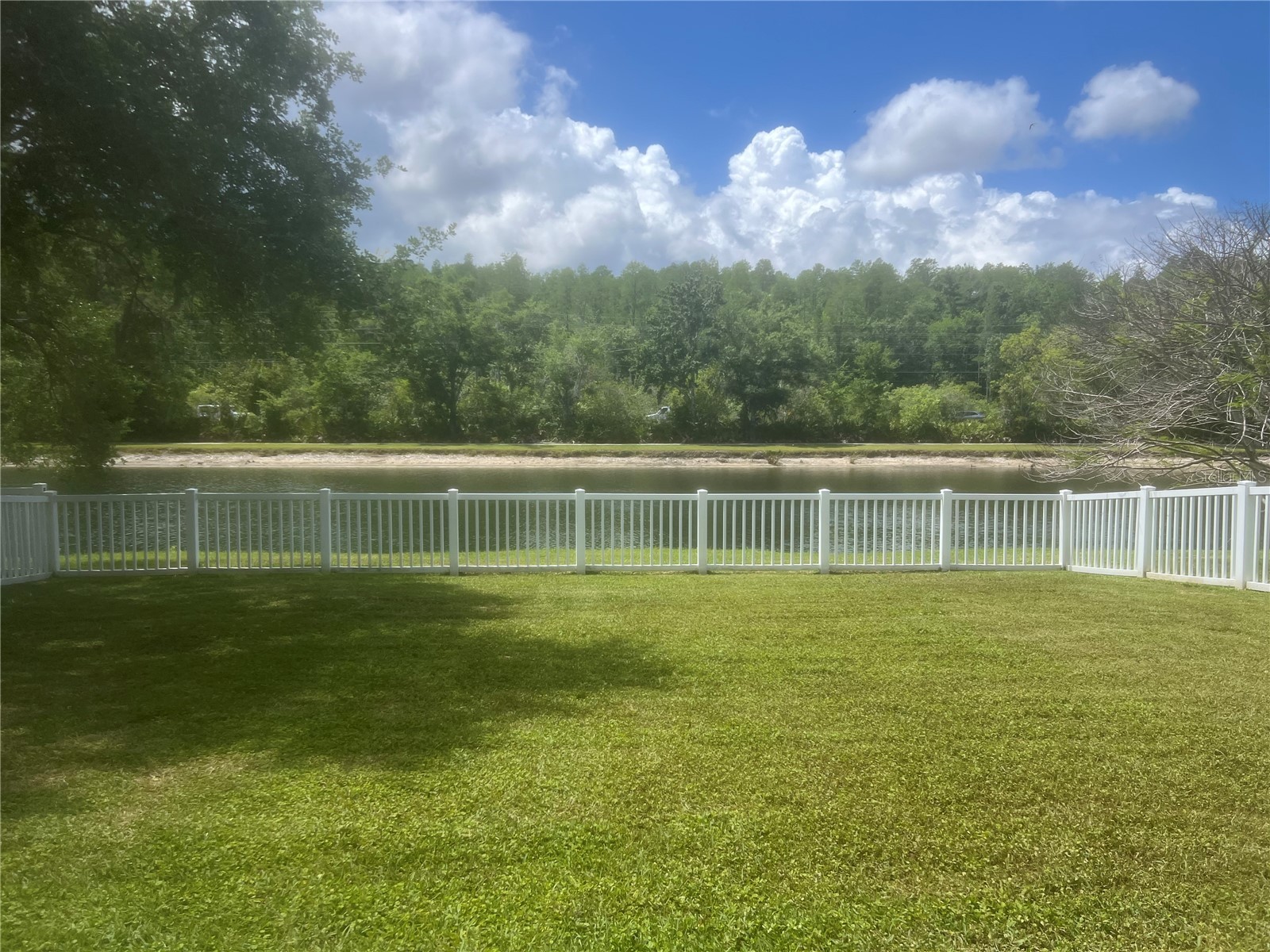 19036 Fishermans Bend Drive Lutz FL 33558 TB8501265 image7