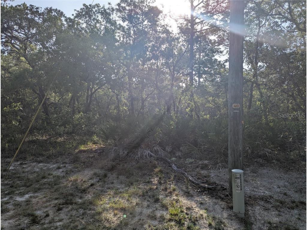 19036 Retriever Road Brooksville FL 34614 TB8387524 image1