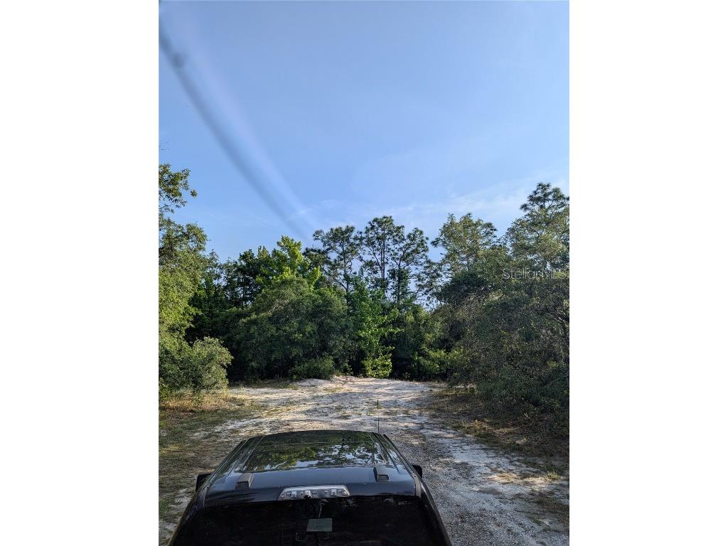 19036 Retriever Road Brooksville FL 34614 TB8387524 image6